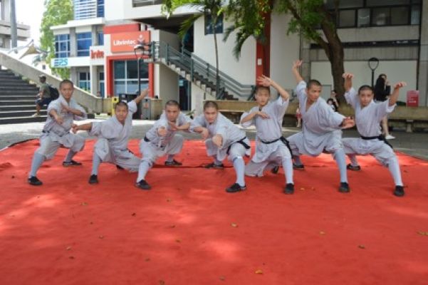 Maestros de shaolin